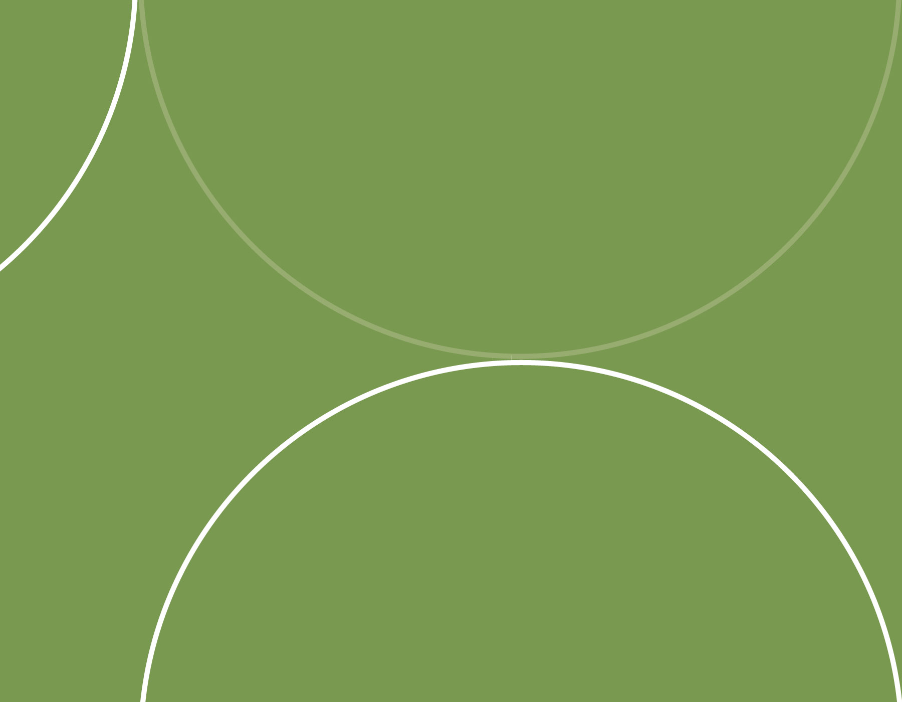 PROFESSIONAL SERVICES PROFESSIONAL SERVICES